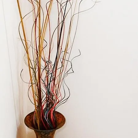 Antiguo Casino De Arribes * Fermoselle